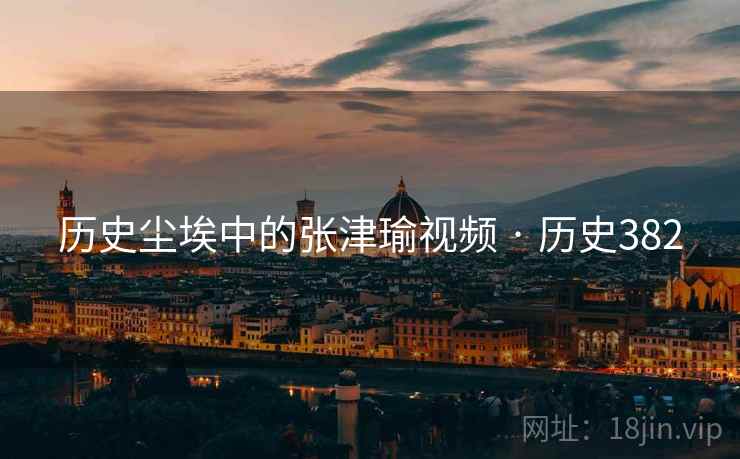 历史尘埃中的张津瑜视频 · 历史382